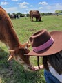 Adi loves her Bluebonnet (first calf to be born on our farm)